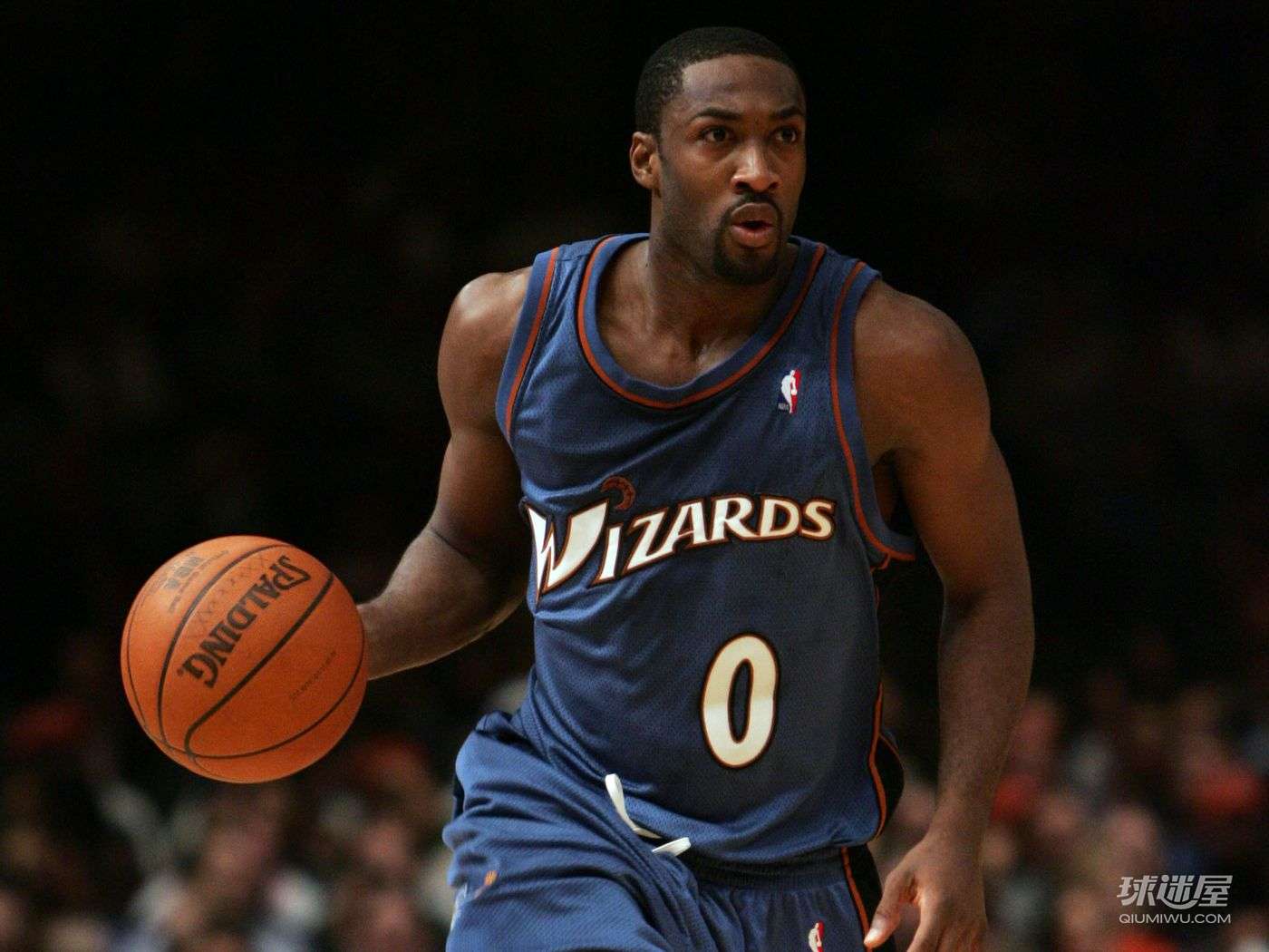 NBA“大将军”阿里纳斯超清手机壁纸