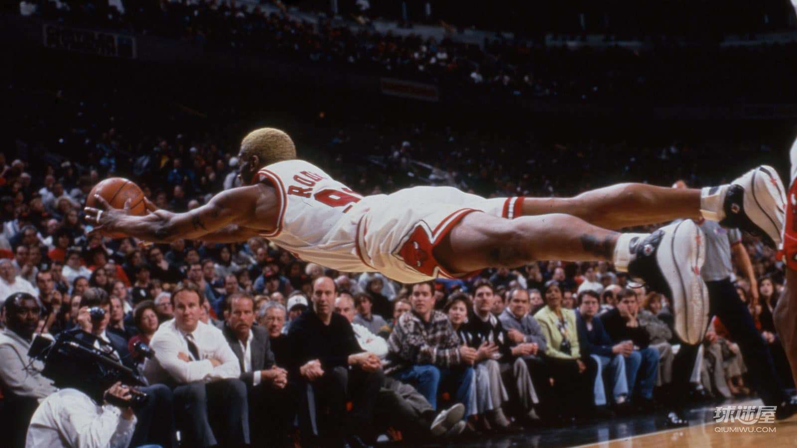 “你敢直视嘛”大虫罗德曼高清电脑壁纸