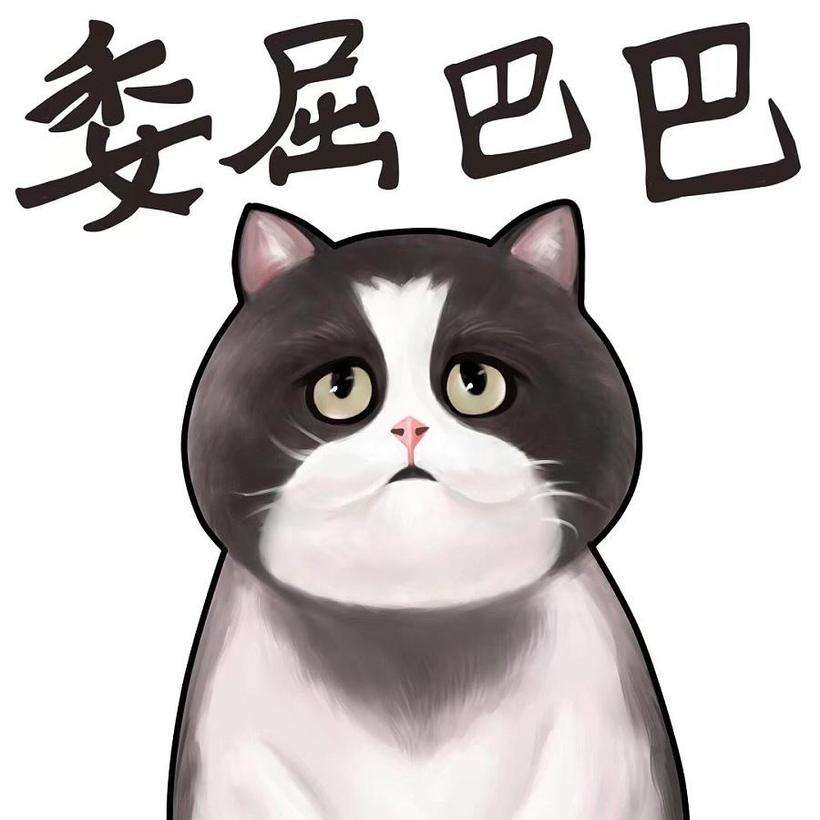 ◎明日ゥ〕之星