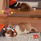 小沙小沙大浪淘沙