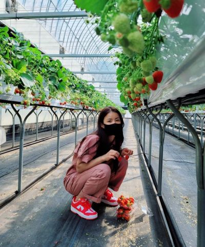 超级好看Nike Dunk Low Disrupt Siren Red