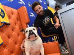 伊巴卡美食节目灵魂发问：库里与爱犬罗科二选一！克莱连连摇头喝蟋蟀茶