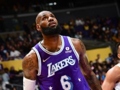 【NBA常规赛】湖人VS鹈鹕图片集