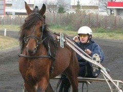 约基奇蝉联MVP！NBA历史第十三位连续两年当选MVP的球员