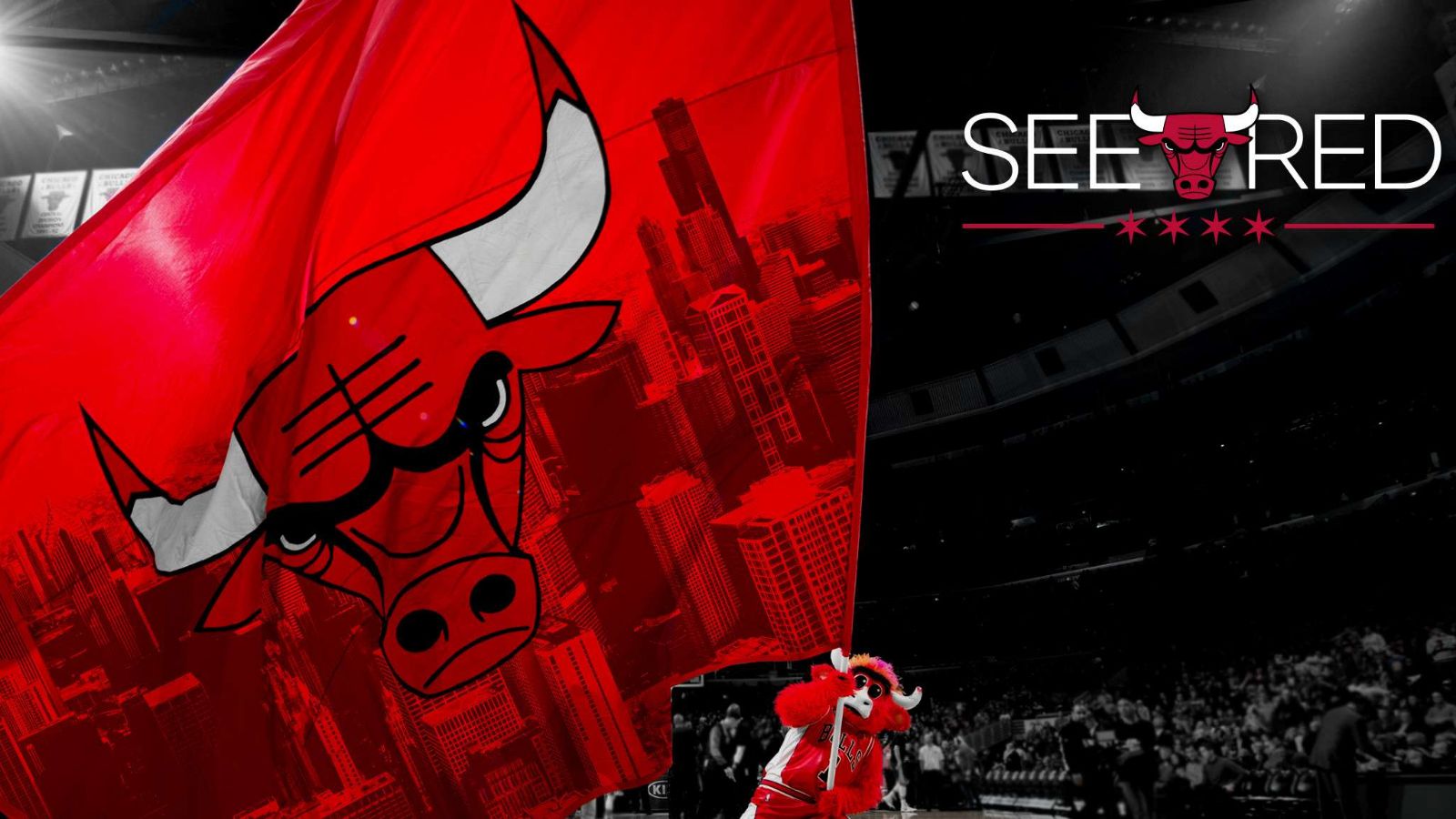 NBA芝加哥公牛LOGO高清电脑壁纸合集 回顾公牛王朝（B62）