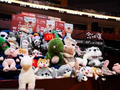 宋翔：刘传兴与湾区翼龙队签约两年