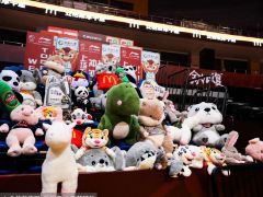 浙江队官方发文为中国男篮和陆文博加油