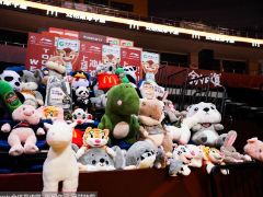 宋翔：侯逸凡和王化东在福建男篮进行试训