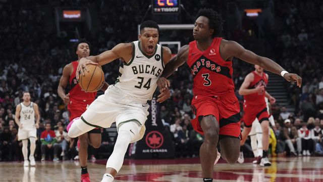 【2023年11月02日 雄鹿vs猛龙集锦】雄鹿vs猛龙精华回放 猛龙三人得分20+大胜雄鹿止三连败