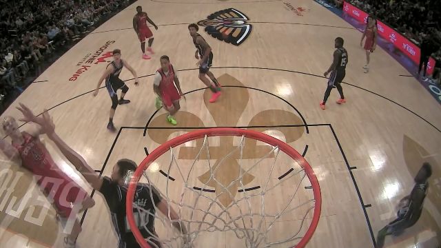 【2023年11月21日 国王vs鹈鹕集锦】我是你坚强的后盾 霍金斯跟进补扣一气呵成