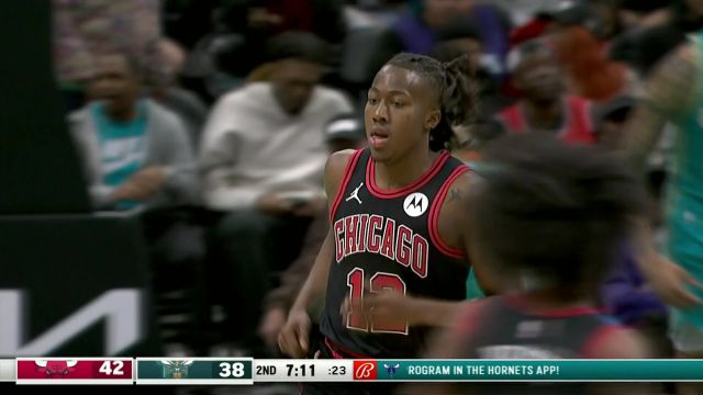 【2024年02月01日 公牛vs黄蜂集锦】公牛117-110黄蜂 怀特35分公牛送黄蜂5连败