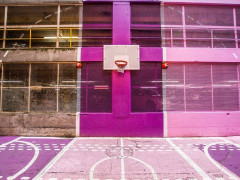 2022女篮世界杯中国女篮阵容名单