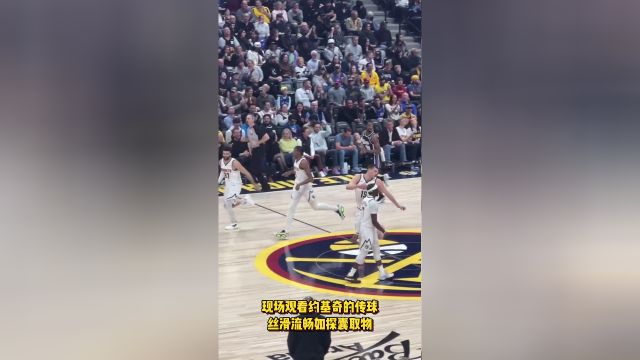 【2024年02月29日 国王vs掘金集锦】现场观看约基奇的传球 丝滑流畅助攻如探囊取物