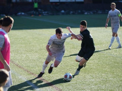 2024欧洲杯直播：波兰vs荷兰直播在线观看