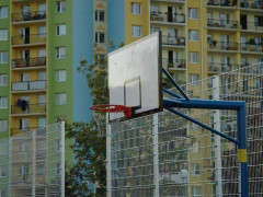 乌度卡式处理！CBA官宣青岛主帅变刘明涛 刘维伟或已结束青岛生涯