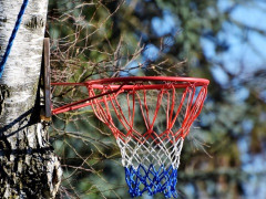 CBA辽宁总结：止步四强无缘4连冠 惨遭横扫存诸多问题亟待解决