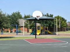 2025全运会辽宁男篮球员名单一览表 张镇麟缺席