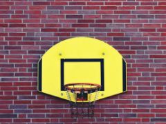 2025女篮亚洲杯中国队名单一览表 杨力维、黄思静领衔