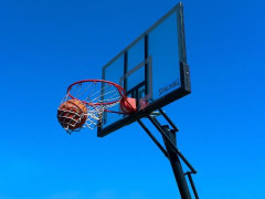 CBA最新交易|签约消息：广东与广州完成交易 外援麦考尔加盟华南虎