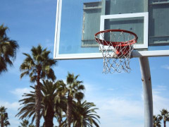 炙手可热的内线新星！CBA选秀球员杨曦皓个人资料