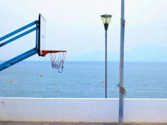 全运会篮球看点：成年组周琦能否阻辽宁冲3连冠 青年组张子宇无敌