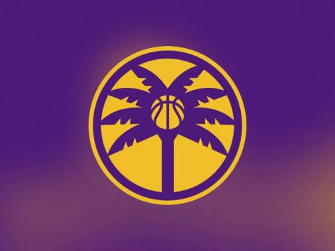 WNBA常规赛：纽约自由人vs洛杉矶火花第3节英文原声回放