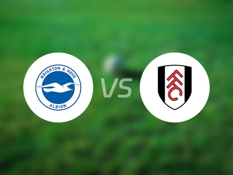 英超比赛前瞻：布莱顿vs富勒姆预测分析(2025年08月16日)