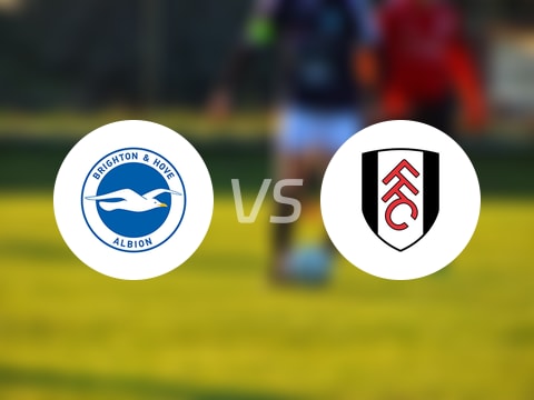 【英超联赛第1轮】布莱顿vs富勒姆直播在线观看(2025年08月16日)