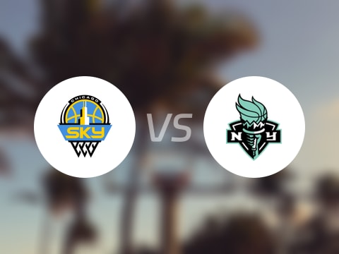 【WNBA】天空vs自由人伤病名单最新(2025年08月22日)