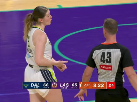 达拉斯飞翼vs洛杉矶火花第4节中文解说回放