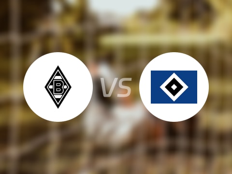 德甲比赛前瞻：门兴vs汉堡预测分析(2025年08月24日)