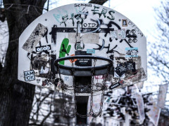 辽宁男篮29分大胜卡塞雷斯：付豪20分引5人上双 姜宇星首秀仅2分