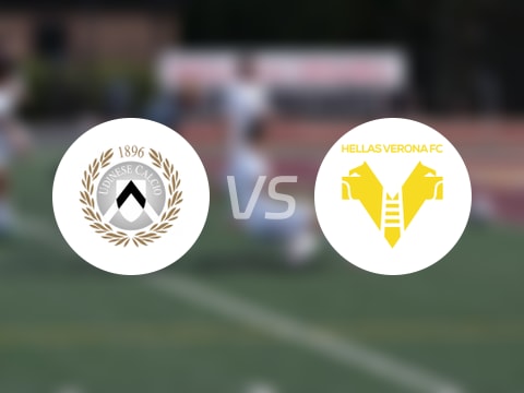 【意甲】乌迪内斯vs维罗纳伤病名单最新(2025年08月26日)