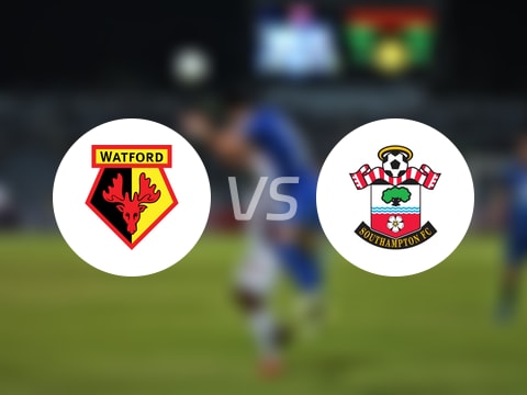 【英冠】沃特福德vs南安普顿伤病名单最新(2025年08月30日)