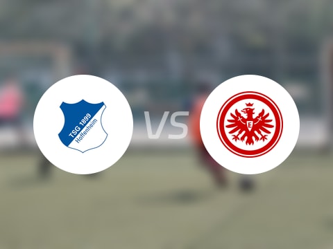 德甲比赛前瞻：霍芬海姆vs法兰克福预测分析(2025年08月30日)