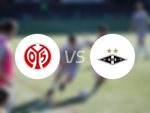 美因茨vs罗森博格回放录像【2025年08月29日】