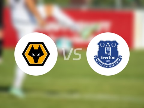 【英超】狼队vs埃弗顿伤病名单最新(2025年08月30日)