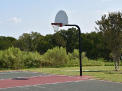 CBA签约交易最新情况汇总！交易签约尘埃落定，谁将成为新赛季黑马？