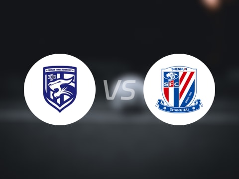 【中超】武汉三镇vs上海申花首发阵容名单(2025年08月31日)