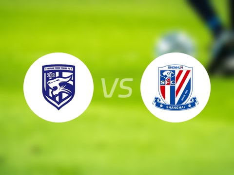 【中超联赛第23轮】武汉三镇vs上海申花录像回放在线观看(2025年08月31日)