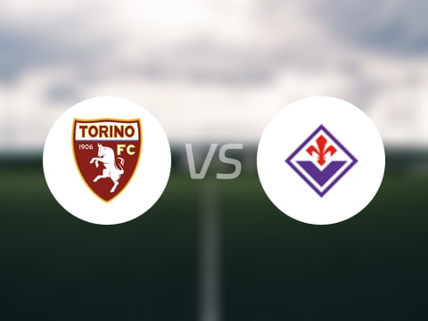 【意甲联赛第2轮】都灵vs佛罗伦萨直播在线观看(2025年09月01日)
