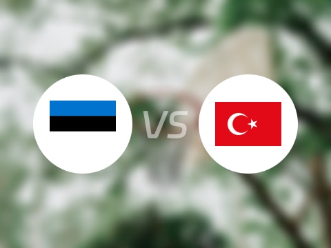 【欧洲杯小组赛】爱沙尼亚vs土耳其录像回放在线观看(2025年09月01日)