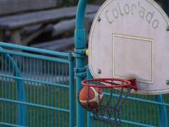 CBA5大预注册：杨瀚森曾凡博打NBA 余嘉豪去西班牙崔永熙回CBA