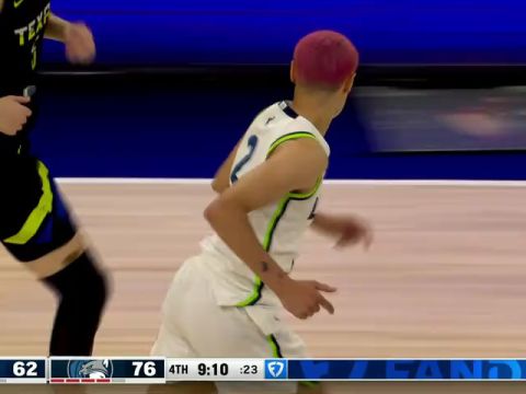 达拉斯飞翼vs明尼苏达山猫第4节中文解说回放