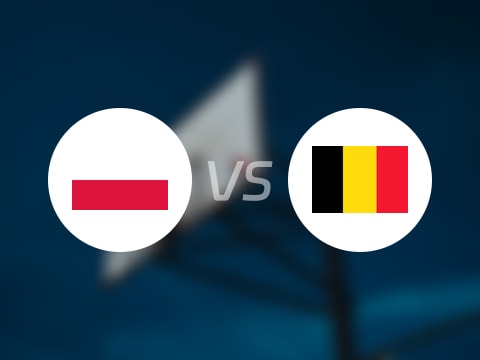 【欧洲杯小组赛】波兰vs比利时录像回放在线观看(2025年09月05日)