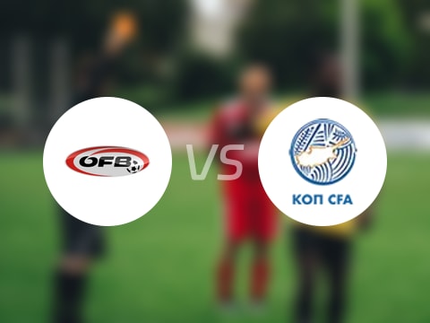 【世欧预分组赛第5轮】奥地利vs塞浦路斯录像回放在线观看(2025年09月07日)