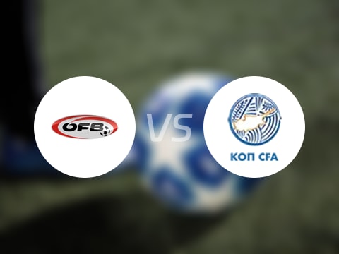 【世欧预】奥地利vs塞浦路斯比赛结果：奥地利(1-0)塞浦路斯比分战报(2025年09月07日)