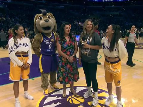 达拉斯飞翼vs洛杉矶火花第2节中文解说回放