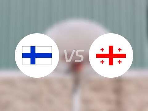 欧洲杯比赛前瞻：芬兰vs格鲁吉亚预测分析(2025年09月10日)