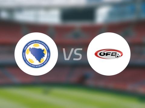 【世欧预分组赛第6轮】波黑vs奥地利直播在线观看(2025年09月10日)